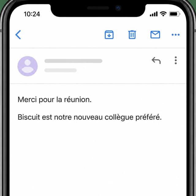 Charming ink and watercolor painting, clean lines, vibrant but soft color palette, storybook style. A screenshot of a phone email app showing a short email message. The email body text reads: "Merci pour la réunion. Biscuit est notre nouveau collègue préféré." No other readable text
Chat attachment instruction: Generate exactly one in-world chat attachment, not a collage, split-screen, comic panel, flashback, or explanatory scene. If the prompt is a screenshot, phone screen, document, note, card, map, receipt, label, object photo, or photo someone took, frame that artifact directly. A name appearing in visible text or in 'photo taken by X' is not an instruction to draw that person. Do not show recurring story participants as visible people unless the prompt itself explicitly says they are visible. Keep unrequested people, faces, and bodies out of the image.