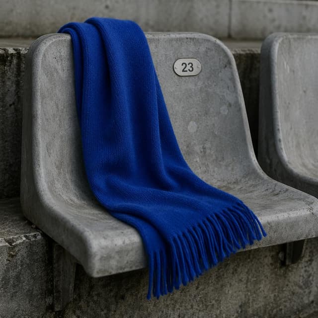 A blue scarf draped over a grey concrete stadium seat
Chat attachment instruction: Generate exactly one in-world chat attachment, not a collage, split-screen, comic panel, flashback, or explanatory scene. If the prompt is a screenshot, phone screen, document, note, card, map, receipt, label, object photo, or photo someone took, frame that artifact directly. A name appearing in visible text or in 'photo taken by X' is not an instruction to draw that person. Do not show recurring story participants as visible people unless the prompt itself explicitly says they are visible. Keep unrequested people, faces, and bodies out of the image.