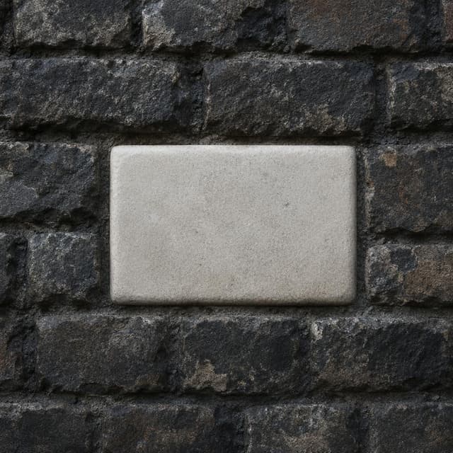 A single pale, smooth-edged stone block set into a wall of dark, rough, weathered bricks
Chat attachment instruction: Generate exactly one in-world chat attachment, not a collage, split-screen, comic panel, flashback, or explanatory scene. If the prompt is a screenshot, phone screen, document, note, card, map, receipt, label, object photo, or photo someone took, frame that artifact directly. A name appearing in visible text or in 'photo taken by X' is not an instruction to draw that person. Do not show recurring story participants as visible people unless the prompt itself explicitly says they are visible. Keep unrequested people, faces, and bodies out of the image.
