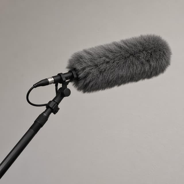 a large boom microphone with a fluffy grey windshield
Chat attachment instruction: Generate exactly one in-world chat attachment, not a collage, split-screen, comic panel, flashback, or explanatory scene. If the prompt is a screenshot, phone screen, document, note, card, map, receipt, label, object photo, or photo someone took, frame that artifact directly. A name appearing in visible text or in 'photo taken by X' is not an instruction to draw that person. Do not show recurring story participants as visible people unless the prompt itself explicitly says they are visible. Keep unrequested people, faces, and bodies out of the image.