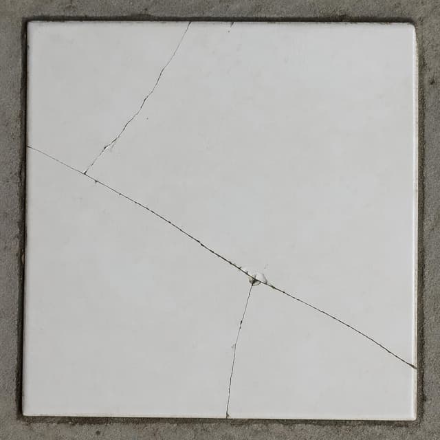 A close-up of a single cracked white ceramic floor tile on a plain floor
Chat attachment instruction: Generate exactly one in-world chat attachment, not a collage, split-screen, comic panel, flashback, or explanatory scene. If the prompt is a screenshot, phone screen, document, note, card, map, receipt, label, object photo, or photo someone took, frame that artifact directly. A name appearing in visible text or in 'photo taken by X' is not an instruction to draw that person. Do not show recurring story participants as visible people unless the prompt itself explicitly says they are visible. Keep unrequested people, faces, and bodies out of the image.