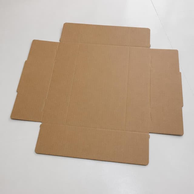 a single flattened cardboard box on a clean white floor
Chat attachment instruction: Generate exactly one in-world chat attachment, not a collage, split-screen, comic panel, flashback, or explanatory scene. If the prompt is a screenshot, phone screen, document, note, card, map, receipt, label, object photo, or photo someone took, frame that artifact directly. A name appearing in visible text or in 'photo taken by X' is not an instruction to draw that person. Do not show recurring story participants as visible people unless the prompt itself explicitly says they are visible. Keep unrequested people, faces, and bodies out of the image.