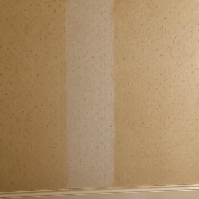 a plain interior wall where two sections of wallpaper meet, one strip visibly more faded and a clearly different shade and texture than the surrounding wall
Chat attachment instruction: Generate exactly one in-world chat attachment, not a collage, split-screen, comic panel, flashback, or explanatory scene. If the prompt is a screenshot, phone screen, document, note, card, map, receipt, label, object photo, or photo someone took, frame that artifact directly. A name appearing in visible text or in 'photo taken by X' is not an instruction to draw that person. Do not show recurring story participants as visible people unless the prompt itself explicitly says they are visible. Keep unrequested people, faces, and bodies out of the image.