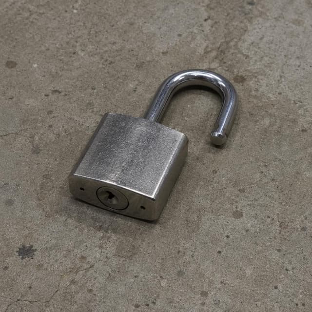 a heavy silver padlock lying open on a bare concrete floor
Chat attachment instruction: Generate exactly one in-world chat attachment, not a collage, split-screen, comic panel, flashback, or explanatory scene. If the prompt is a screenshot, phone screen, document, note, card, map, receipt, label, object photo, or photo someone took, frame that artifact directly. A name appearing in visible text or in 'photo taken by X' is not an instruction to draw that person. Do not show recurring story participants as visible people unless the prompt itself explicitly says they are visible. Keep unrequested people, faces, and bodies out of the image.