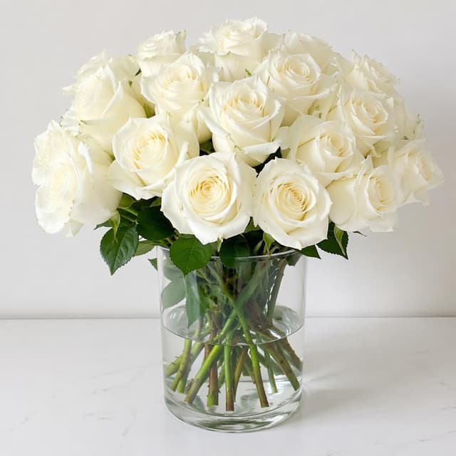a bunch of white roses in a plain glass vase on a white surface
Chat attachment instruction: Generate exactly one in-world chat attachment, not a collage, split-screen, comic panel, flashback, or explanatory scene. If the prompt is a screenshot, phone screen, document, note, card, map, receipt, label, object photo, or photo someone took, frame that artifact directly. A name appearing in visible text or in 'photo taken by X' is not an instruction to draw that person. Do not show recurring story participants as visible people unless the prompt itself explicitly says they are visible. Keep unrequested people, faces, and bodies out of the image.