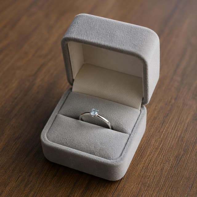 A silver ring with a small gemstone, resting inside an open box on a table
Chat attachment instruction: Generate exactly one in-world chat attachment, not a collage, split-screen, comic panel, flashback, or explanatory scene. If the prompt is a screenshot, phone screen, document, note, card, map, receipt, label, object photo, or photo someone took, frame that artifact directly. A name appearing in visible text or in 'photo taken by X' is not an instruction to draw that person. Do not show recurring story participants as visible people unless the prompt itself explicitly says they are visible. Keep unrequested people, faces, and bodies out of the image.