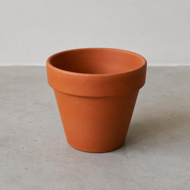 A simple terracotta flower pot on a plain floor, clean simple background
Chat attachment instruction: Generate exactly one in-world chat attachment, not a collage, split-screen, comic panel, flashback, or explanatory scene. If the prompt is a screenshot, phone screen, document, note, card, map, receipt, label, object photo, or photo someone took, frame that artifact directly. A name appearing in visible text or in 'photo taken by X' is not an instruction to draw that person. Do not show recurring story participants as visible people unless the prompt itself explicitly says they are visible. Keep unrequested people, faces, and bodies out of the image.