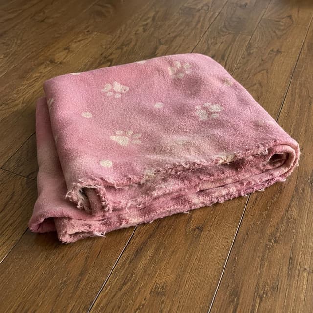 A small worn pink pet blanket folded on a wooden floor, plain background, no people
Chat attachment instruction: Generate exactly one in-world chat attachment, not a collage, split-screen, comic panel, flashback, or explanatory scene. If the prompt is a screenshot, phone screen, document, note, card, map, receipt, label, object photo, or photo someone took, frame that artifact directly. A name appearing in visible text or in 'photo taken by X' is not an instruction to draw that person. Do not show recurring story participants as visible people unless the prompt itself explicitly says they are visible. Keep unrequested people, faces, and bodies out of the image.