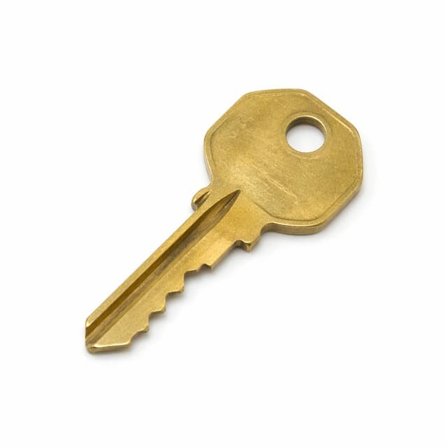 a single brass shop key on a plain white surface
Chat attachment instruction: Generate exactly one in-world chat attachment, not a collage, split-screen, comic panel, flashback, or explanatory scene. If the prompt is a screenshot, phone screen, document, note, card, map, receipt, label, object photo, or photo someone took, frame that artifact directly. A name appearing in visible text or in 'photo taken by X' is not an instruction to draw that person. Do not show recurring story participants as visible people unless the prompt itself explicitly says they are visible. Keep unrequested people, faces, and bodies out of the image.