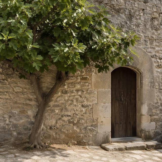 A single fig tree standing beside an old stone doorway, plain and simple, no people
Chat attachment instruction: Generate exactly one in-world chat attachment, not a collage, split-screen, comic panel, flashback, or explanatory scene. If the prompt is a screenshot, phone screen, document, note, card, map, receipt, label, object photo, or photo someone took, frame that artifact directly. A name appearing in visible text or in 'photo taken by X' is not an instruction to draw that person. Do not show recurring story participants as visible people unless the prompt itself explicitly says they are visible. Keep unrequested people, faces, and bodies out of the image.
