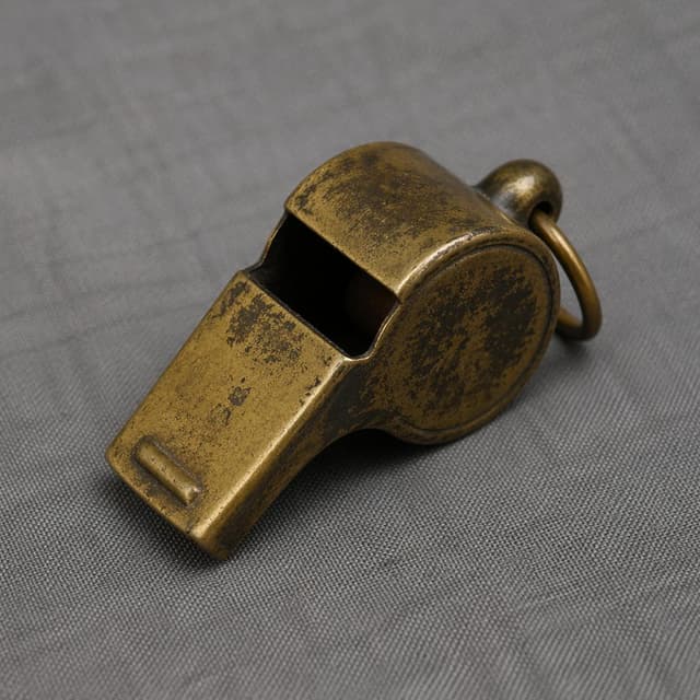An old worn brass whistle on a plain gray cloth background
Chat attachment instruction: Generate exactly one in-world chat attachment, not a collage, split-screen, comic panel, flashback, or explanatory scene. If the prompt is a screenshot, phone screen, document, note, card, map, receipt, label, object photo, or photo someone took, frame that artifact directly. A name appearing in visible text or in 'photo taken by X' is not an instruction to draw that person. Do not show recurring story participants as visible people unless the prompt itself explicitly says they are visible. Keep unrequested people, faces, and bodies out of the image.