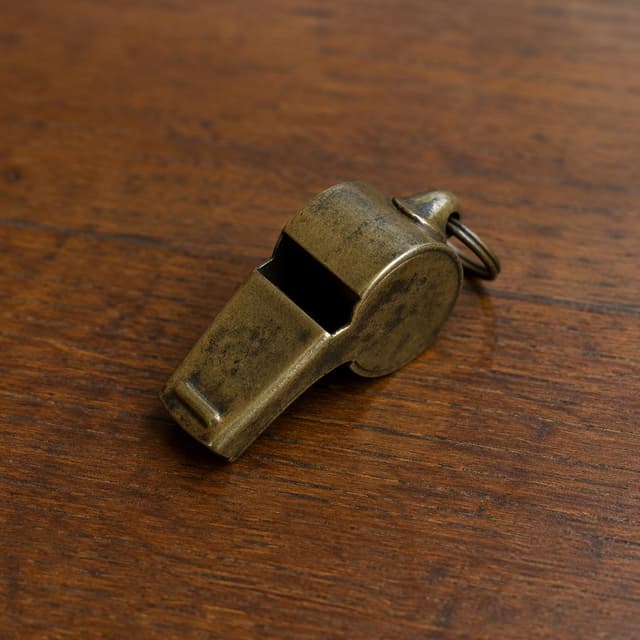 A small tarnished brass whistle resting on a plain wooden table
Chat attachment instruction: Generate exactly one in-world chat attachment, not a collage, split-screen, comic panel, flashback, or explanatory scene. If the prompt is a screenshot, phone screen, document, note, card, map, receipt, label, object photo, or photo someone took, frame that artifact directly. A name appearing in visible text or in 'photo taken by X' is not an instruction to draw that person. Do not show recurring story participants as visible people unless the prompt itself explicitly says they are visible. Keep unrequested people, faces, and bodies out of the image.
