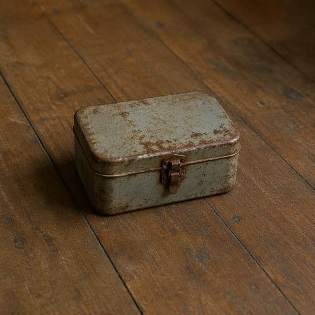A small, old, slightly rusted tin box with a simple latch, sitting alone on a wooden floor
Chat attachment instruction: Generate exactly one in-world chat attachment, not a collage, split-screen, comic panel, flashback, or explanatory scene. If the prompt is a screenshot, phone screen, document, note, card, map, receipt, label, object photo, or photo someone took, frame that artifact directly. A name appearing in visible text or in 'photo taken by X' is not an instruction to draw that person. Do not show recurring story participants as visible people unless the prompt itself explicitly says they are visible. Keep unrequested people, faces, and bodies out of the image.