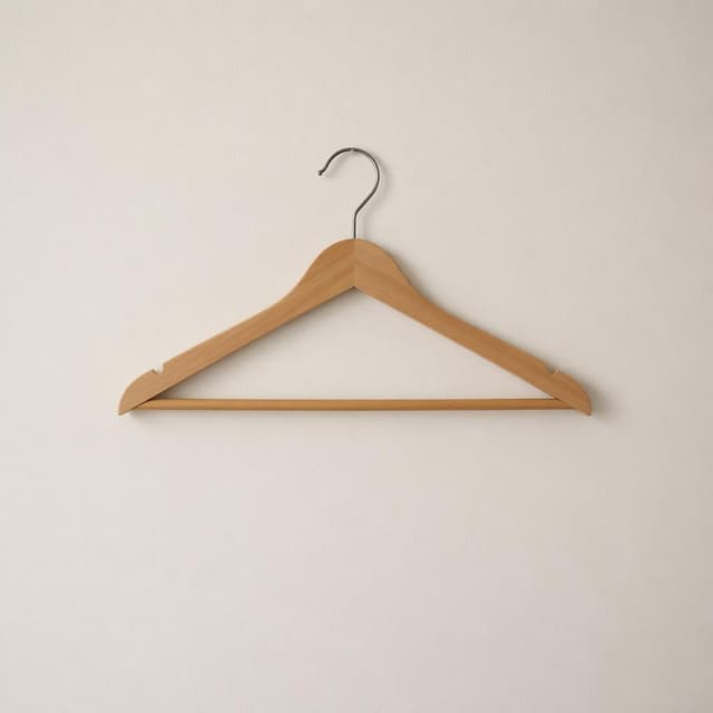 an empty wooden clothes hanger on a plain wall
Chat attachment instruction: Generate exactly one in-world chat attachment, not a collage, split-screen, comic panel, flashback, or explanatory scene. If the prompt is a screenshot, phone screen, document, note, card, map, receipt, label, object photo, or photo someone took, frame that artifact directly. A name appearing in visible text or in 'photo taken by X' is not an instruction to draw that person. Do not show recurring story participants as visible people unless the prompt itself explicitly says they are visible. Keep unrequested people, faces, and bodies out of the image.