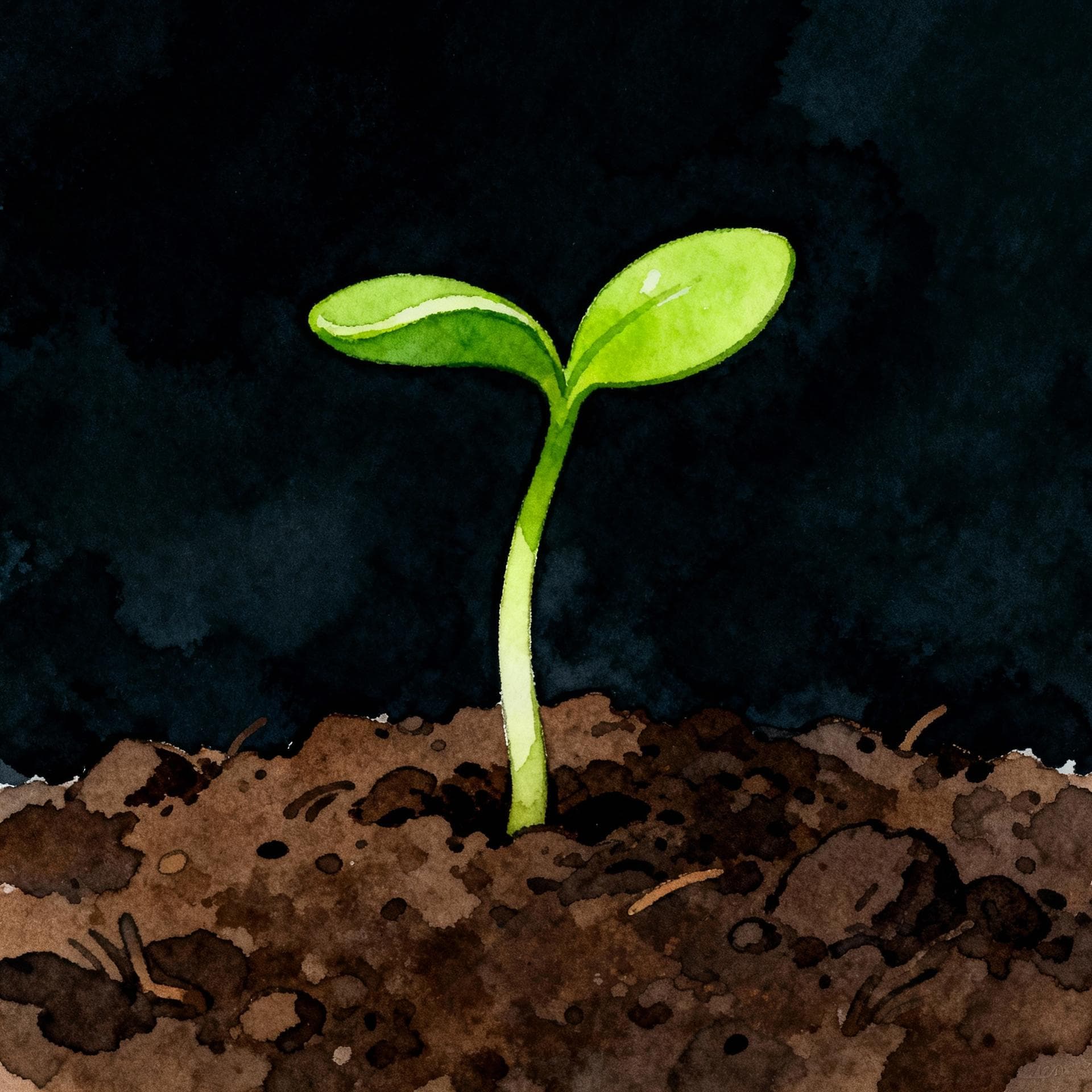 Charming ink and watercolor painting, clean lines, vibrant but soft color palette, storybook style, dark background. A small, vibrant green seedling is pushing a tiny new leaf out of the dark brown soil.
