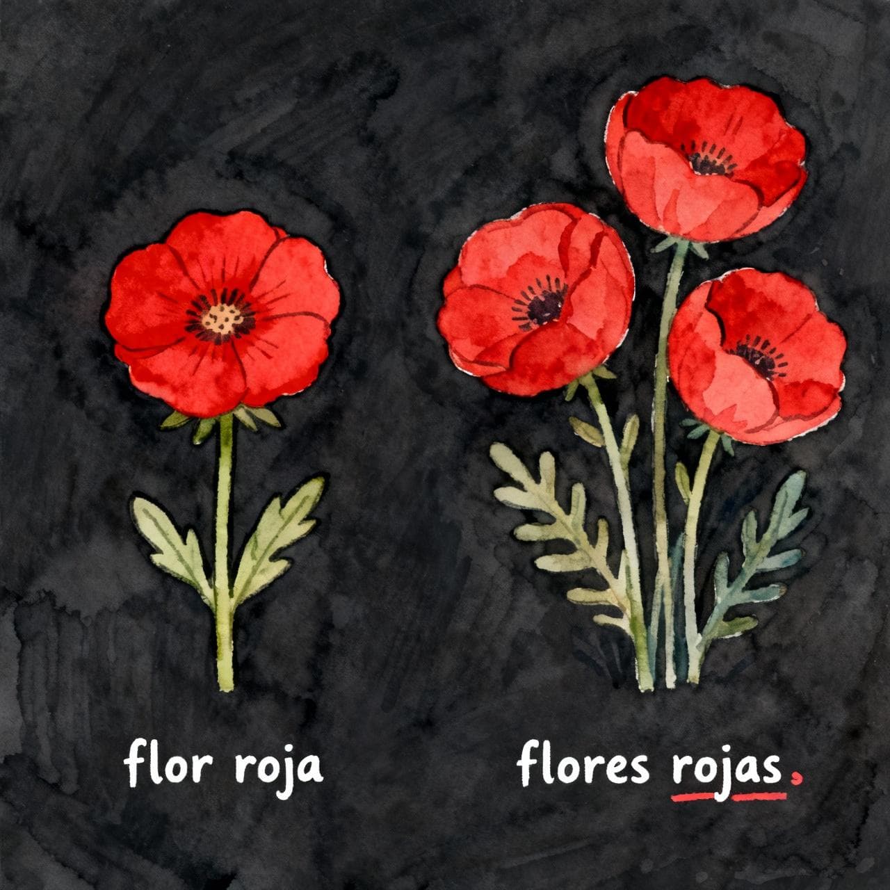 On the left, a single red flower labeled "flor roja". On the right, three red flowers labeled "flores rojas", with the 's' highlighted. Charming ink and watercolor painting, clean lines, vibrant but soft color palette, storybook style, dark background.