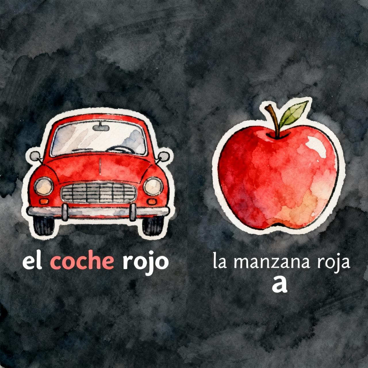 A simple side-by-side comparison. On the left, a red car with the text 'el coche rojo'. On the right, a red apple with the text 'la manzana roja'. The 'o' and 'a' endings are highlighted. Charming ink and watercolor painting, clean lines, vibrant but soft color palette, storybook style. dark background.