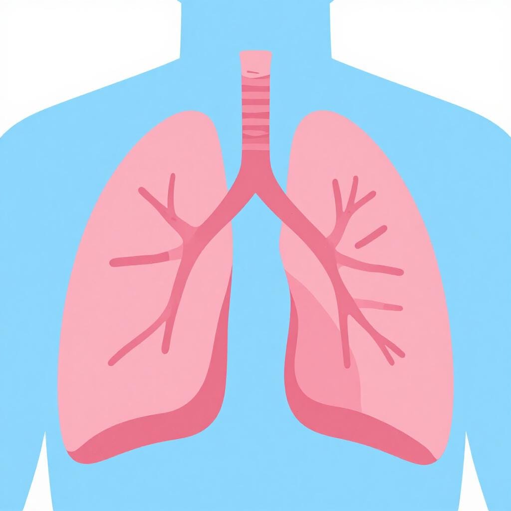 A simple illustration of a pair of lungs inside a human silhouette.