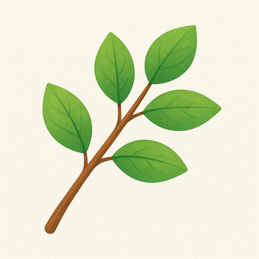 A close-up of several bright green, simple leaves attached to a brown branch, illustrating the foliage of a plant.