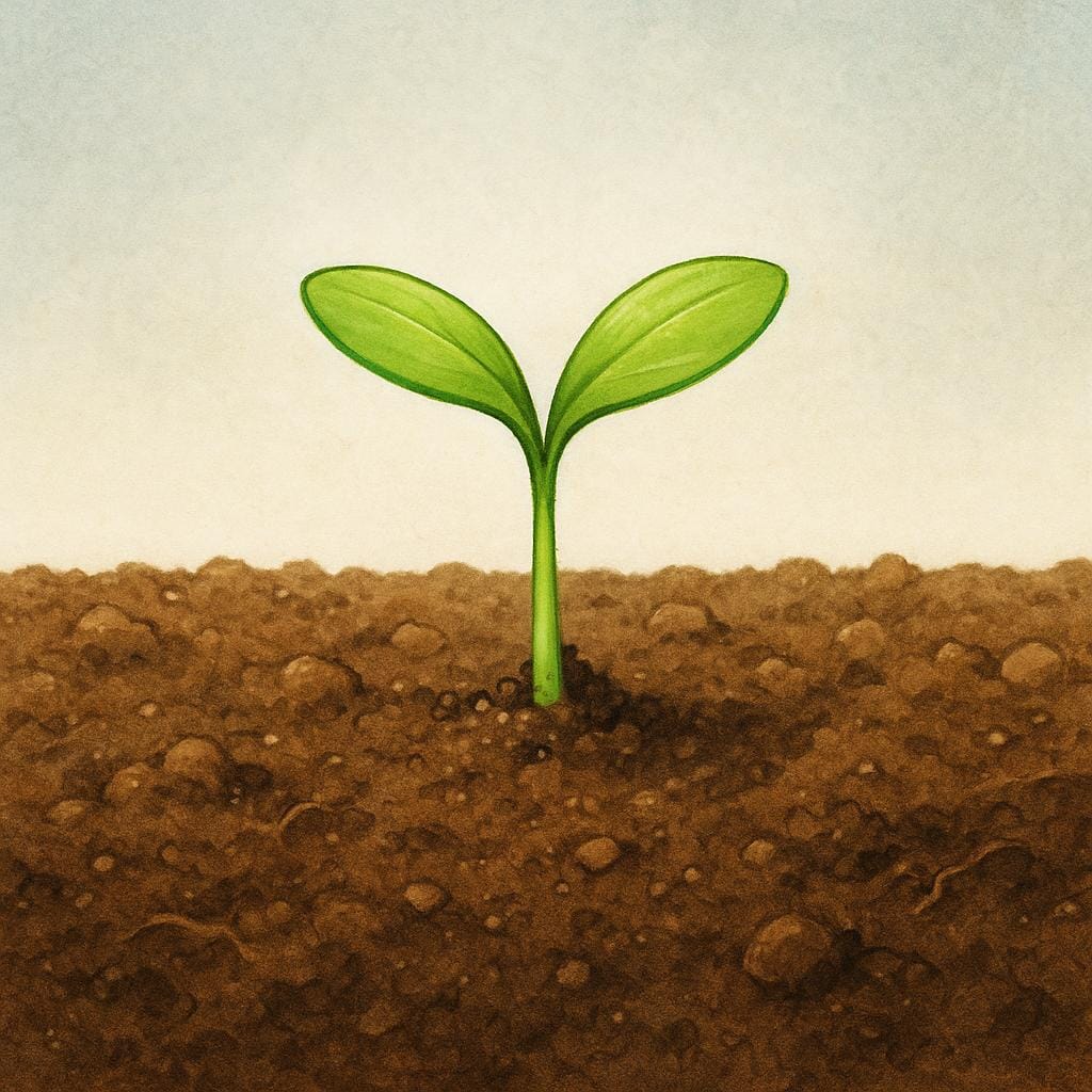 A cross-section of fertile brown earth showing roots and a small, healthy green plant growing out of the surface.