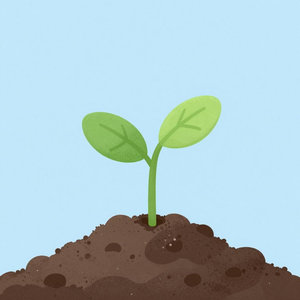 A vibrant green sprout growing out of rich brown soil.