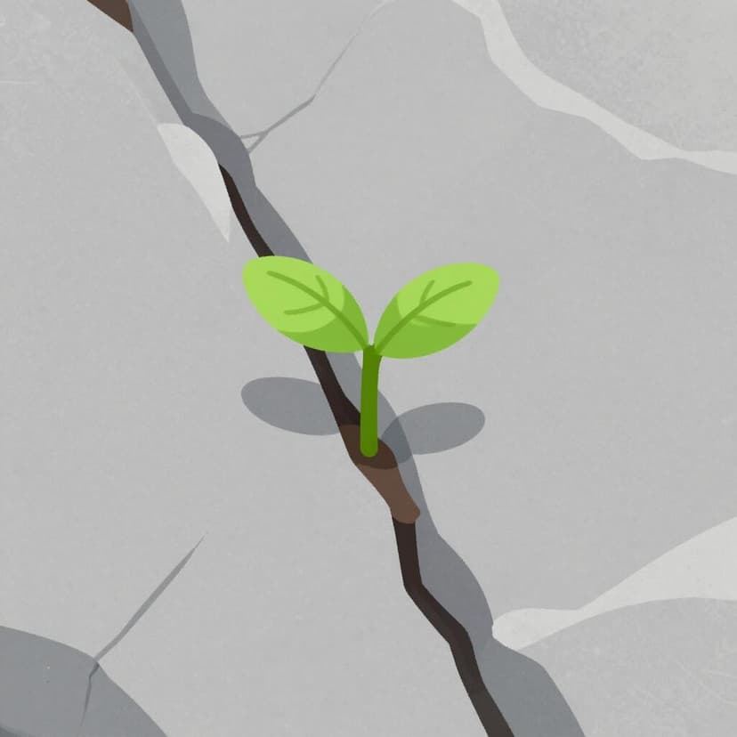 A small green plant growing out of a crack in a hard stone pavement.