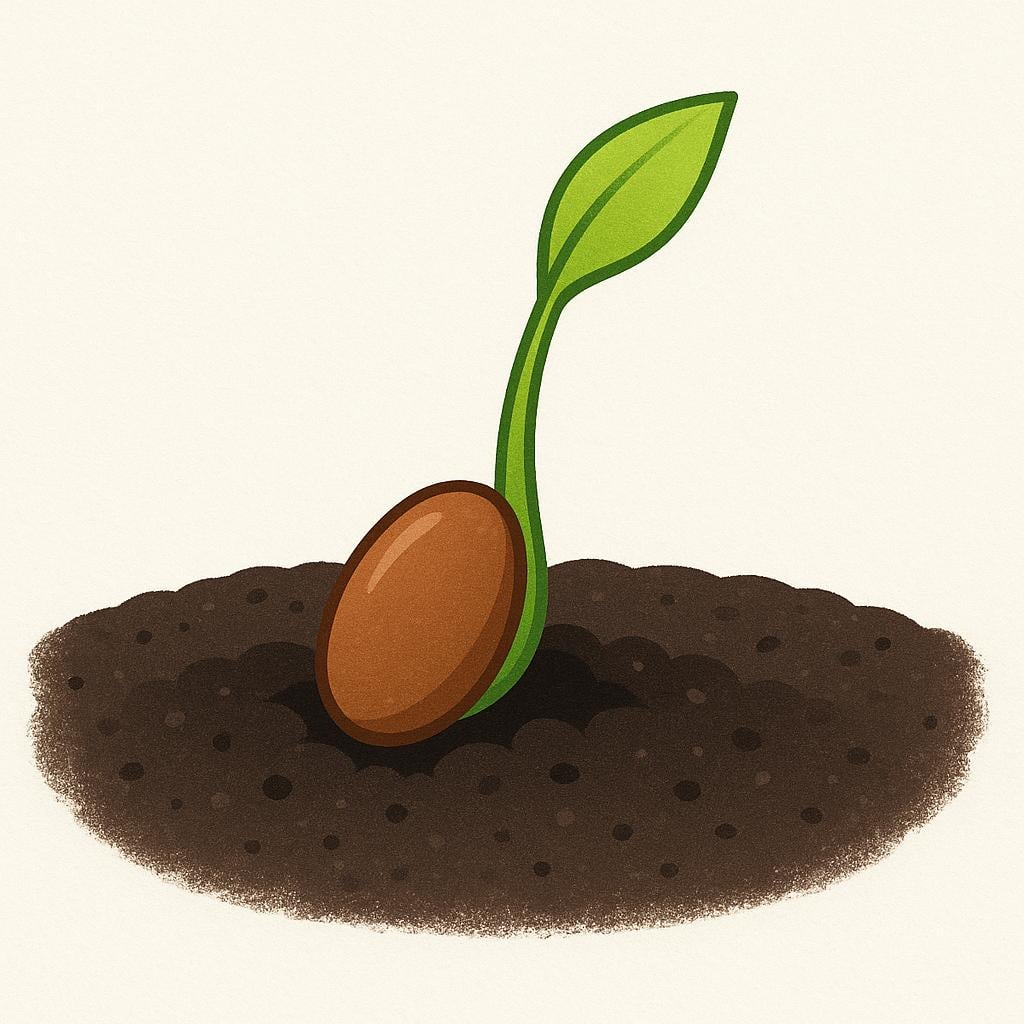 A small brown seed is planted halfway into dark soil, and a tiny, bright green sprout is clearly emerging directly from the seed, representing an expected outcome.