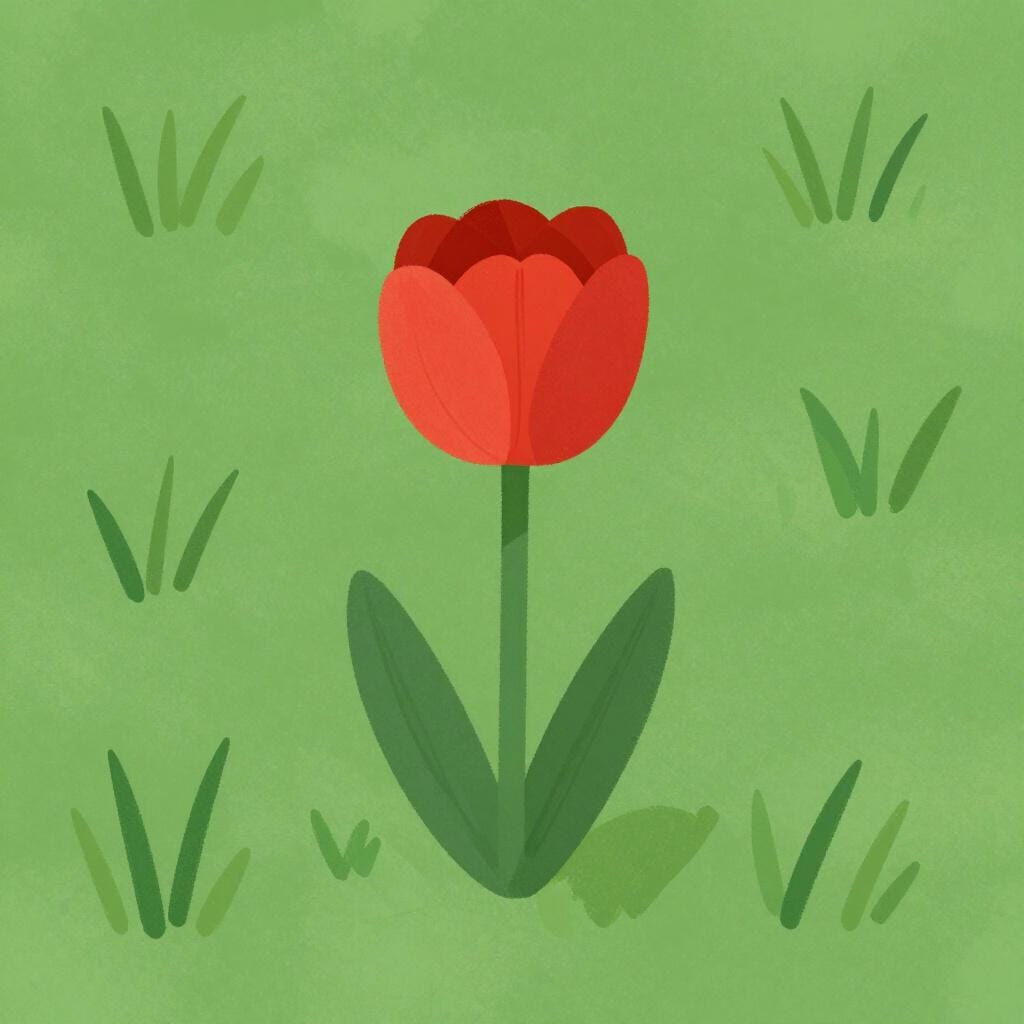 A vibrant red flower standing out in a field of plain green grass.