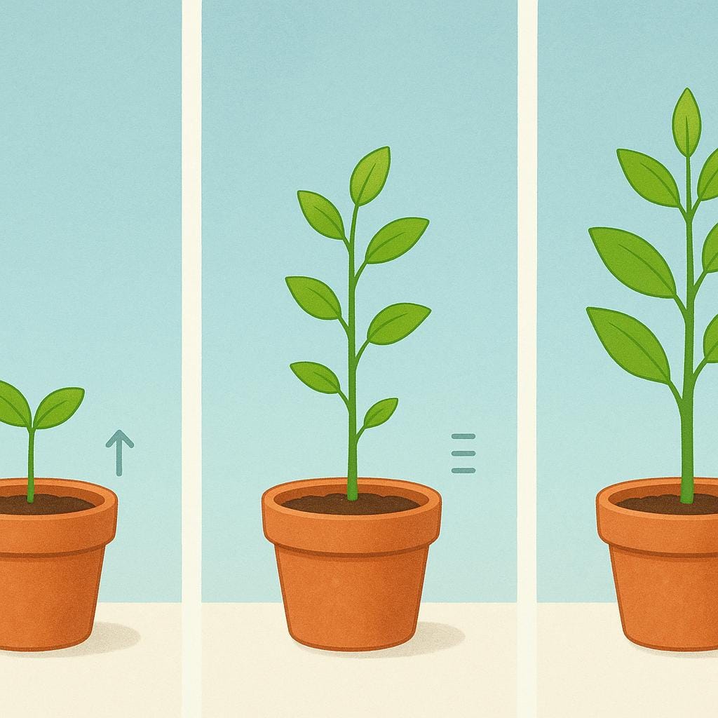 Een levendige groene plant die hoger en gezonder groeit in een pot, met nieuwe heldere bladeren die uitlopen.