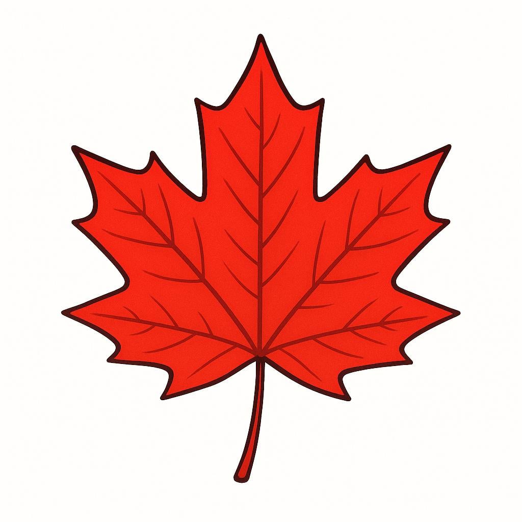 A single, large, vibrant red maple leaf, the national symbol of Canada.