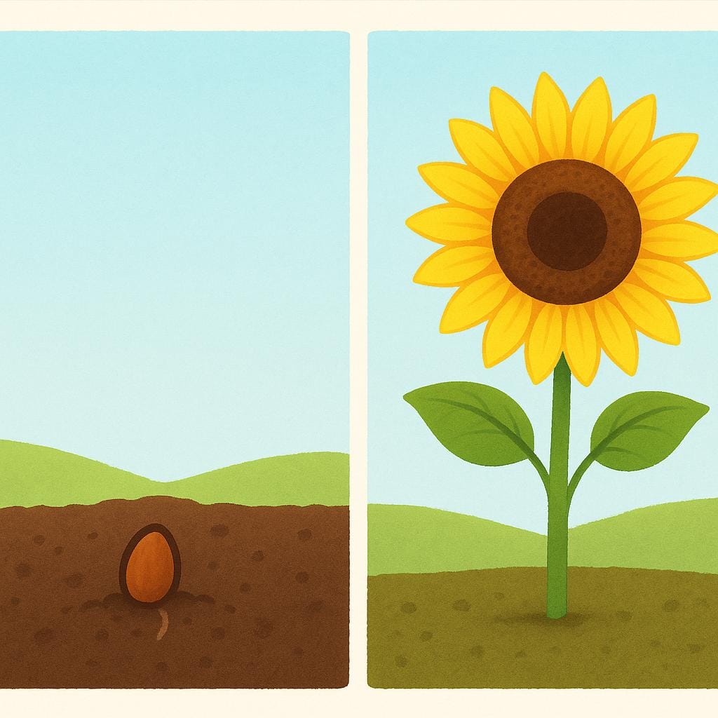 A high quality storybook illustration showing a small, freshly planted brown seed on the left, next to a large, healthy, fully bloomed vibrant yellow sunflower on the right, representing the final outcome or result of the planting process.