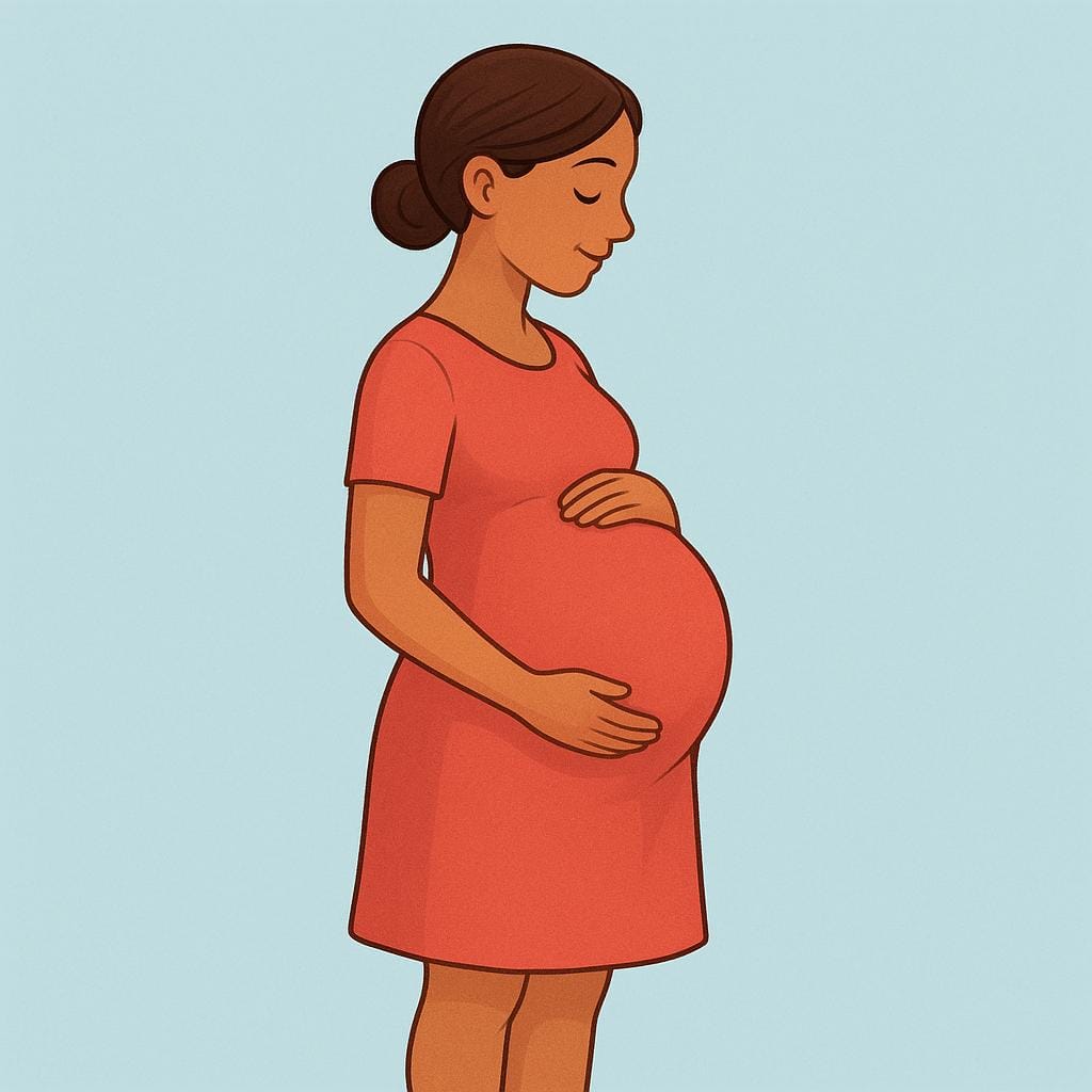 Une simple illustration colorée montrant la silhouette de profil d'une femme enceinte, soulignant son grand ventre arrondi.
