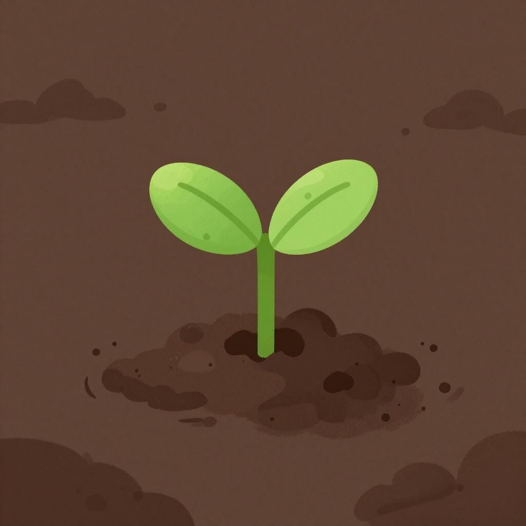 A tiny green seedling breaking through dark soil into the sunlight.