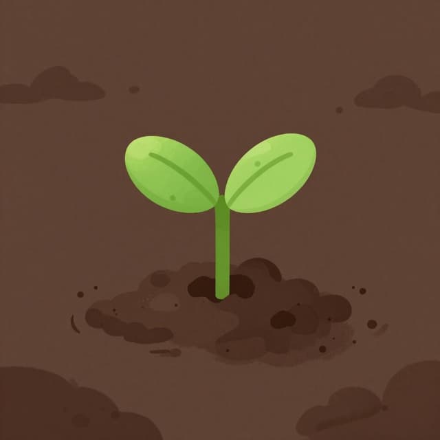 A tiny green seedling breaking through dark soil into the sunlight.