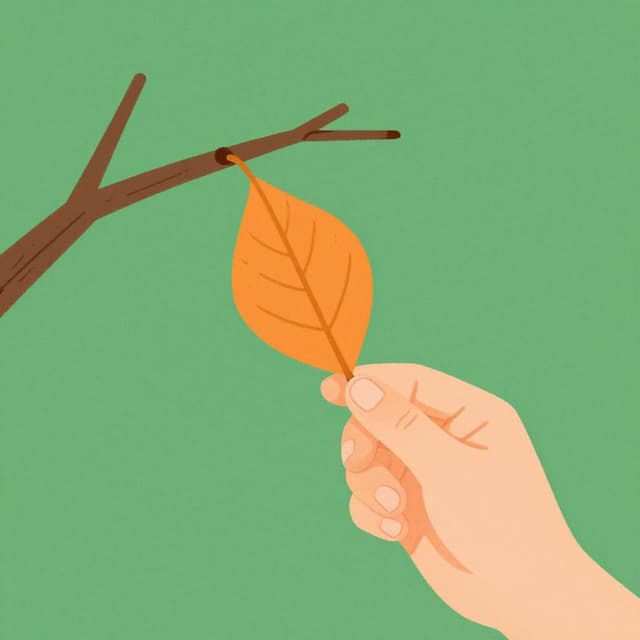 A hand pulling a bright orange autumn leaf away from a green branch.