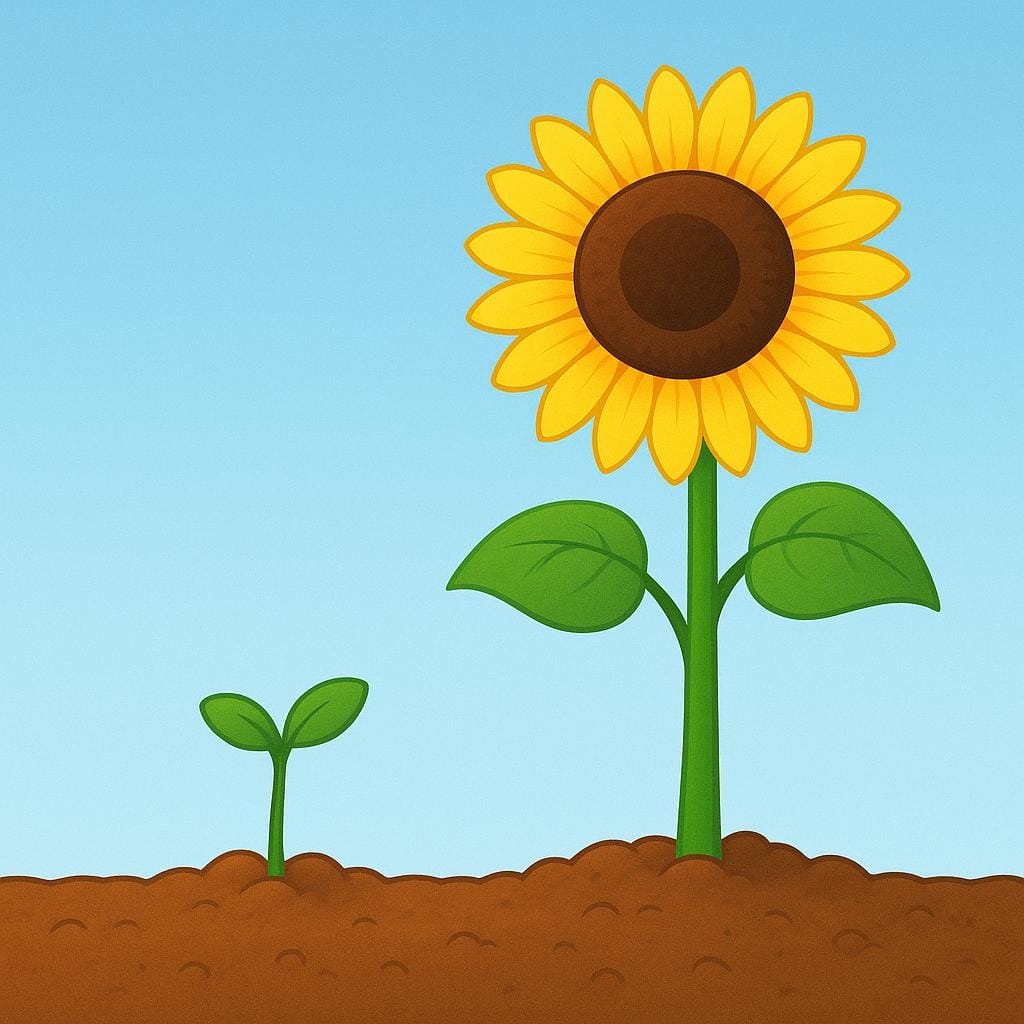 A small green seedling emerging from brown soil next to a tall, vibrant yellow sunflower, illustrating physical growth.