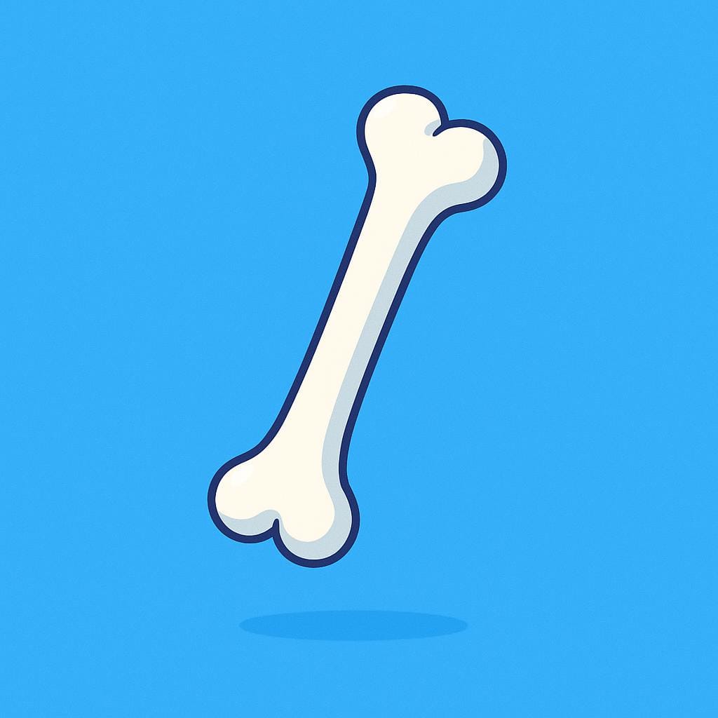 A single, isolated, perfectly clean white femur bone illustrated against a bright, solid blue background.