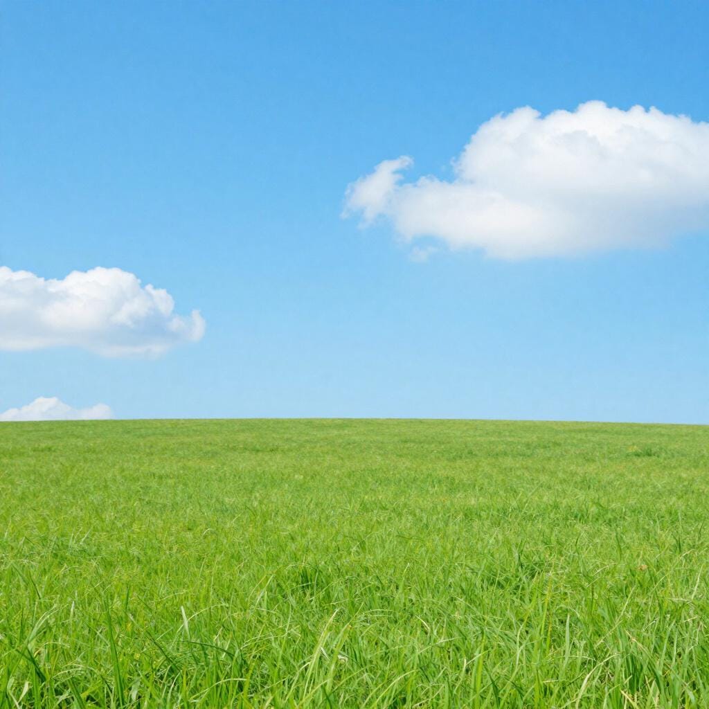 A vast, green open field of farmland stretching to the horizon under a blue sky.