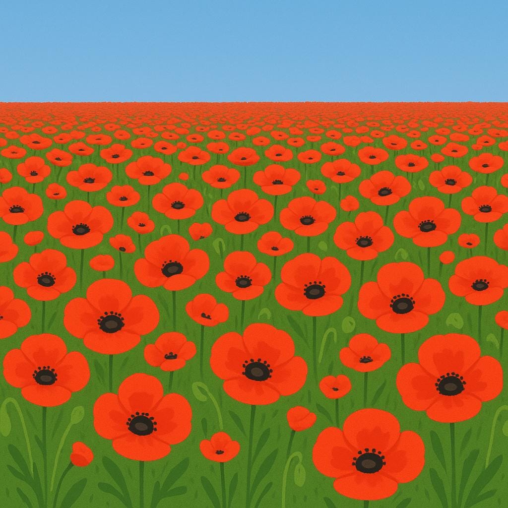A vast, expansive field covered entirely by bright red poppy flowers, extending to the horizon, showing only that one type of flower.
