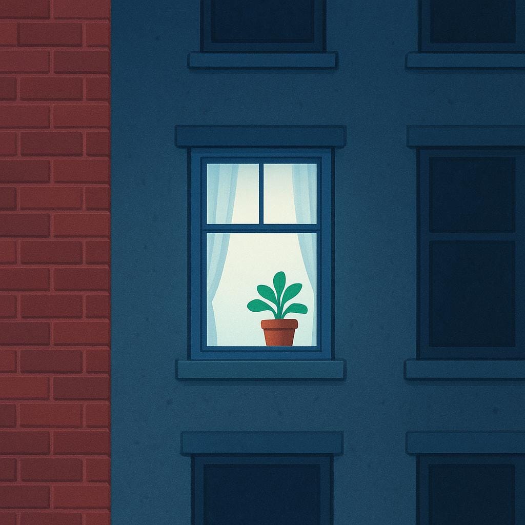 A brightly lit window on the third floor of a large, colorful apartment building, showing a small potted plant on the windowsill.