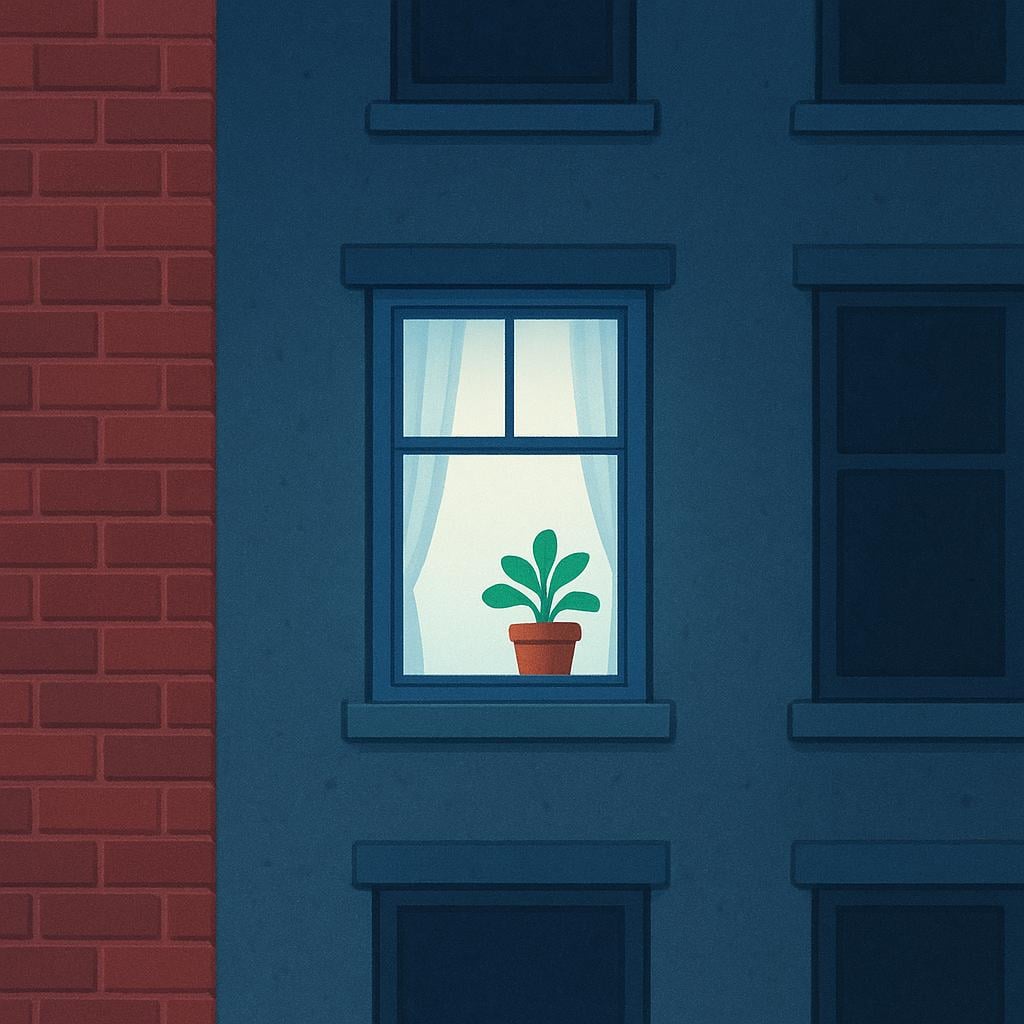A brightly lit window on the third floor of a large, colorful apartment building, showing a small potted plant on the windowsill.
