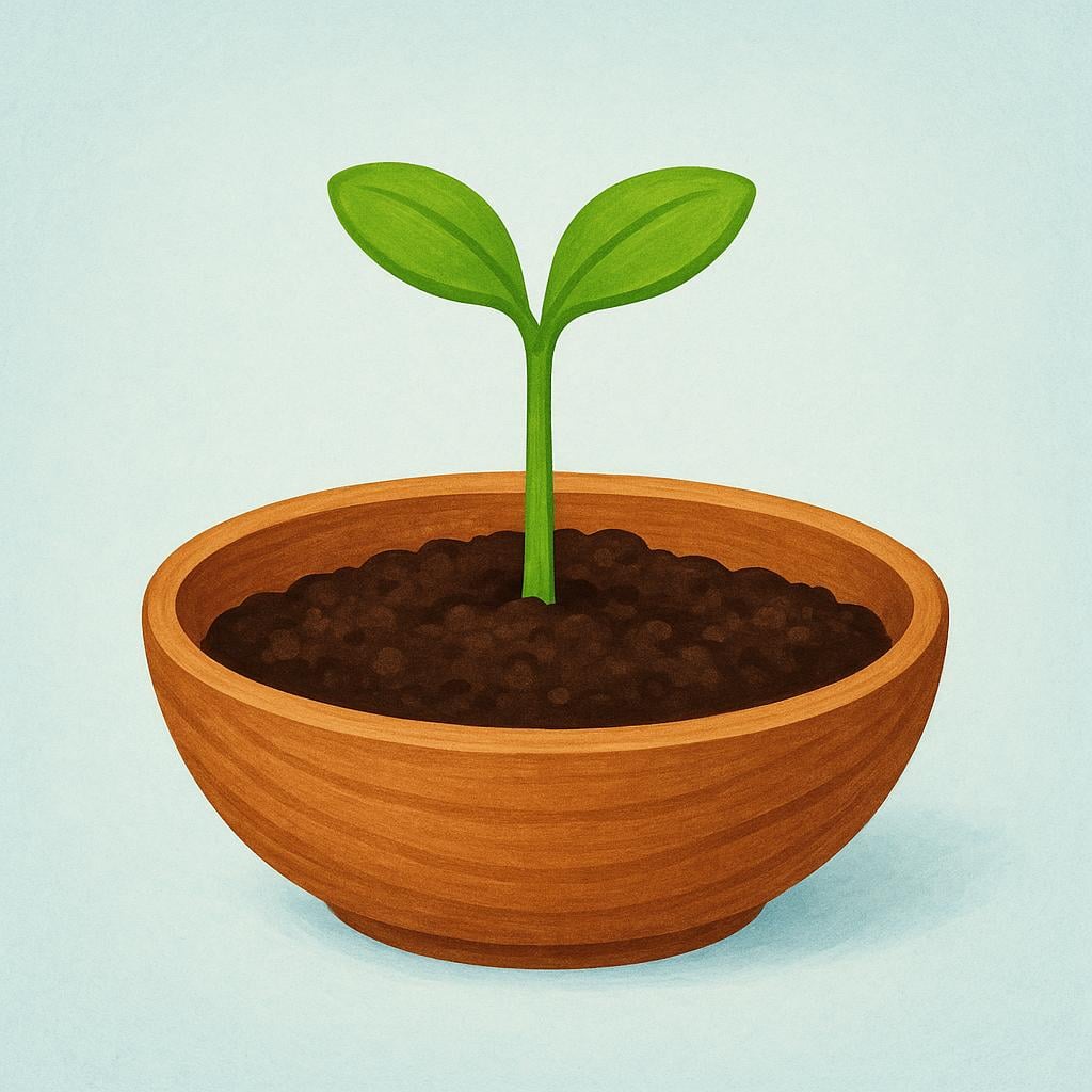 A single, bright green seedling rooted in dark soil, resting inside a simple, protective wooden bowl structure.