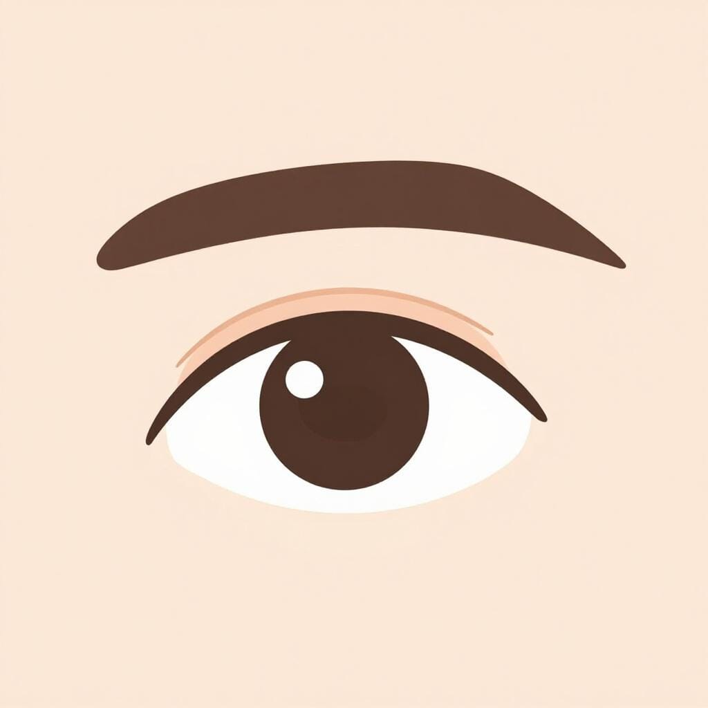 A close-up illustration of a single human eye with a thick, well-defined eyebrow arched above it.