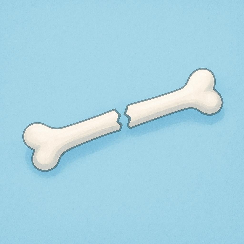 A colorful illustration of a human arm bone with a clean break in the middle.