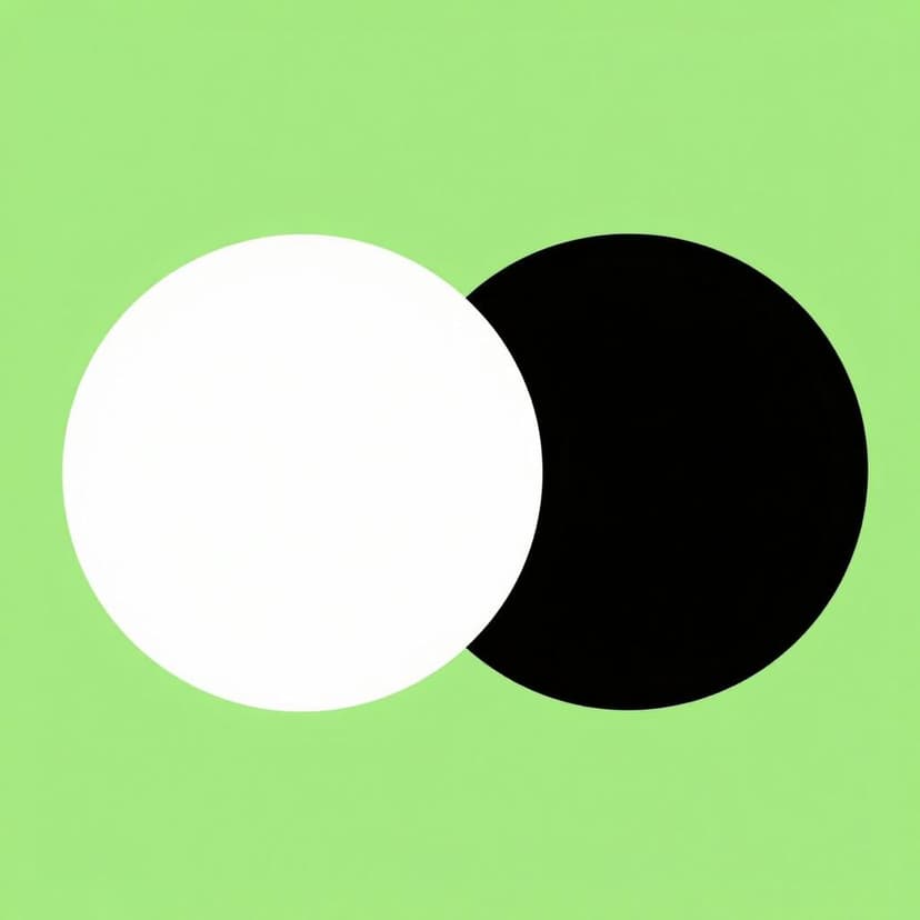 A bright white circle placed directly next to a solid black circle on a neutral background.
