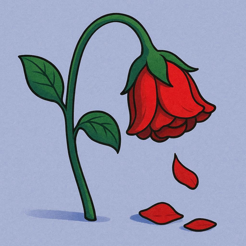 A single, vibrant red rose is shown completely wilting and drooping over, its petals turning brown, symbolizing the end of life.