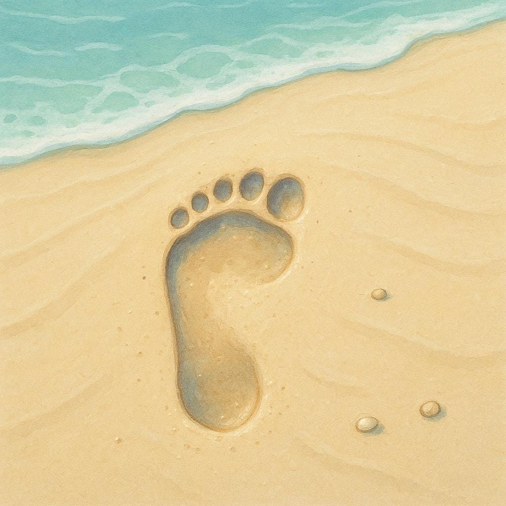 A deep, clear footprint pressed into smooth, damp beach sand.