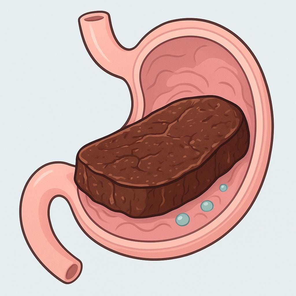 A diagram of a stomach containing a large, dense, greasy steak that appears difficult to digest.