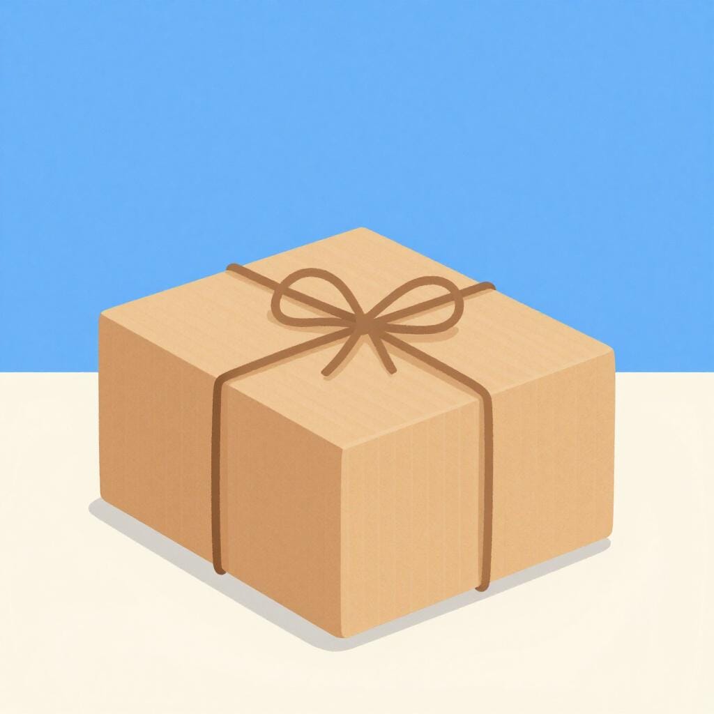 Ein brauner Pappkarton, der mit einer einfachen Schnur gebunden ist.