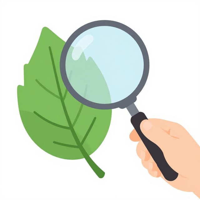 A curious person using a magnifying glass to look closely at a bright green leaf.